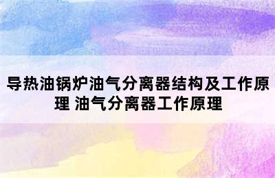 导热油锅炉油气分离器结构及工作原理 油气分离器工作原理